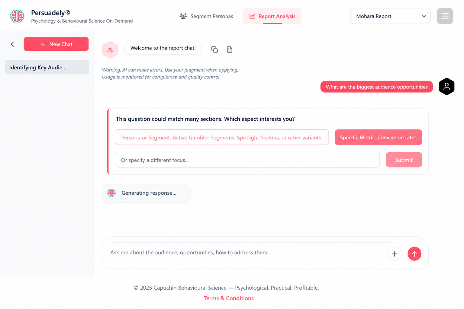Persuadely Analyse your report screen